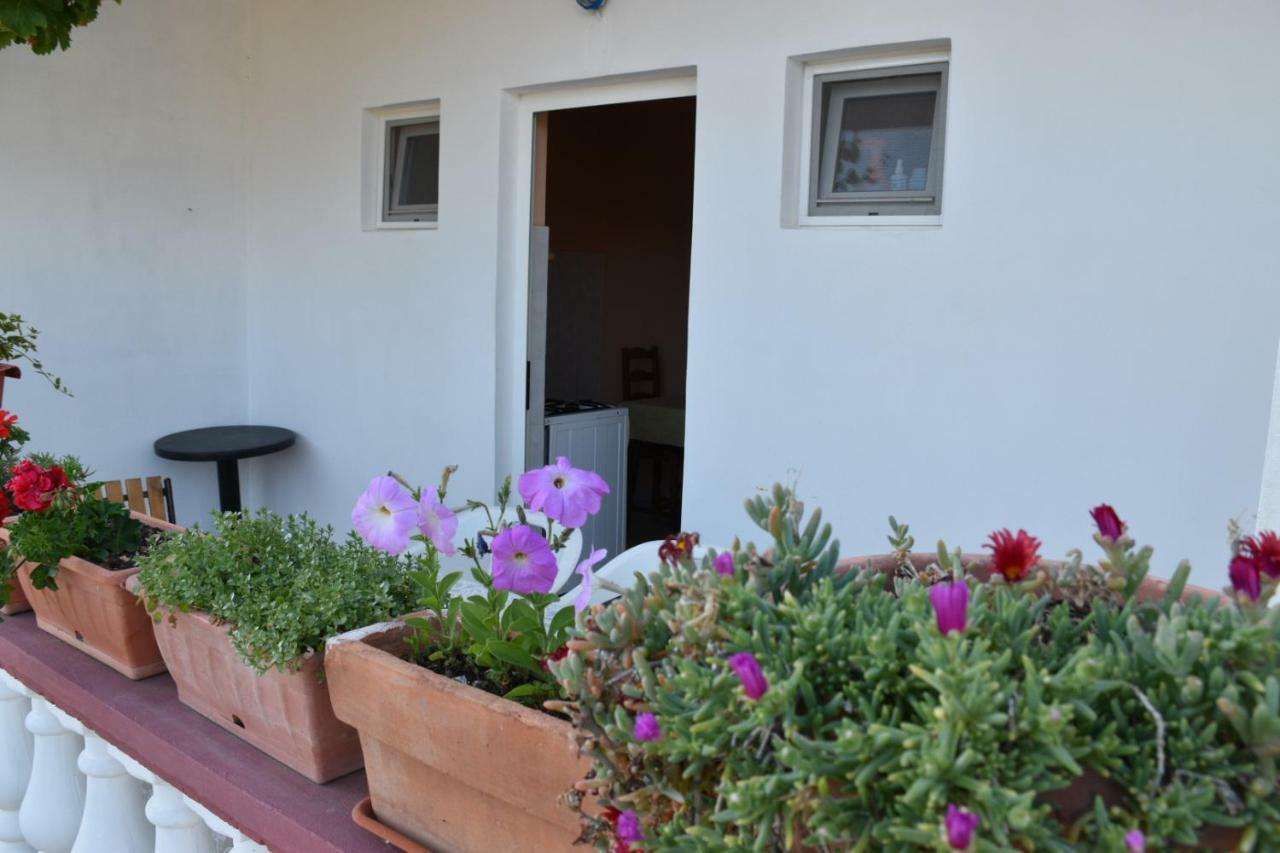 Mauro Apartment Razanac Exterior photo